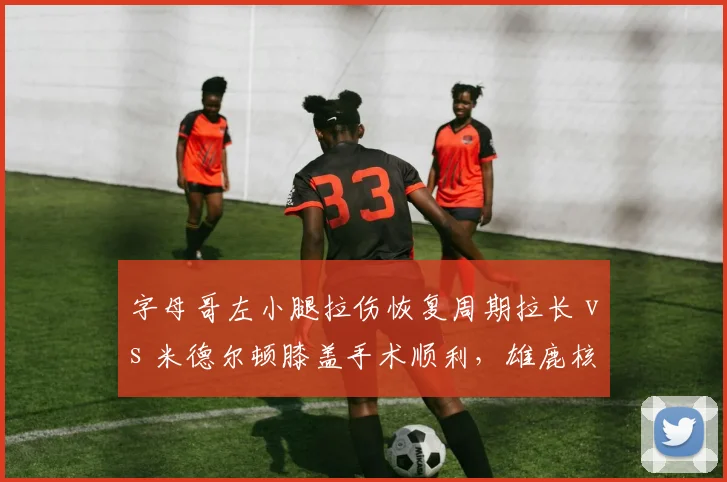 字母哥左小腿拉伤恢复周期拉长 vs 米德尔顿膝盖手术顺利，雄鹿核心复出节奏不同
